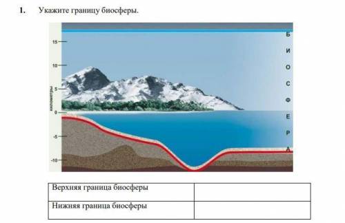 сделать 1 задание, всё на фото,