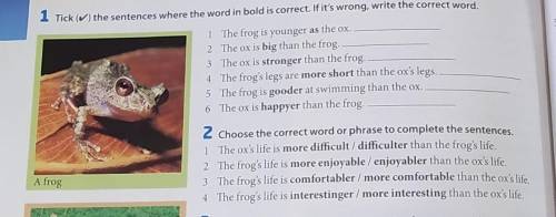 Tick (M) the sentences where the word in bold is correct. If it's wrong, write the correct word. 1 T