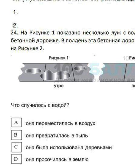 2 24. На рисунке 1 показано несколько луж с водой, которые были утромнабетонной дорожке. В полдень э