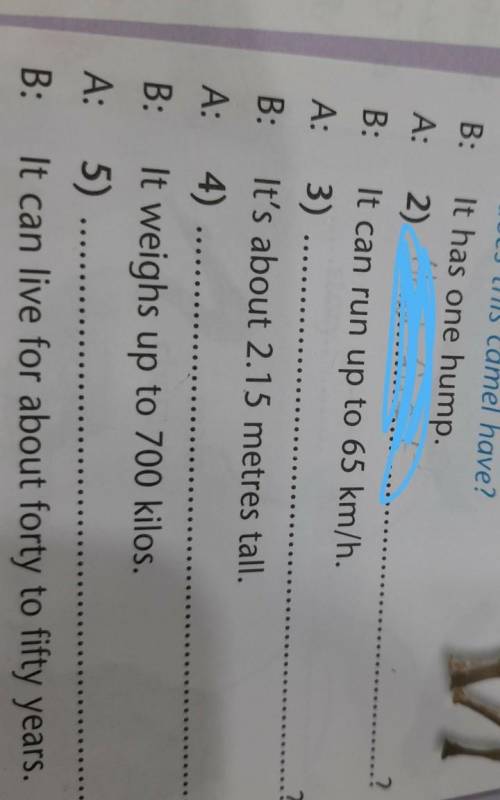 ** Look at the 7answers and writequestions.A: 1) How many humpsdoes this camel have?B:It has one hum