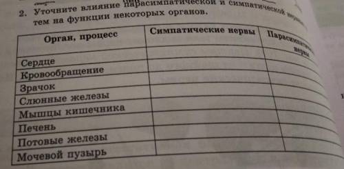 Уточните влияние парасимпатической и симпатической Нервных систем на функции.