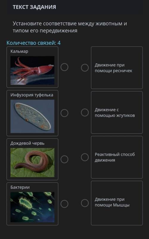 ТЕКСТ ЗАДАНИЯ Установите соответствие между животным и типом его передвиженияКоличество связей: 4Кал