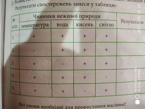 , заранее . Там нада помістити в кришку насіння квасолі а далі там є Мне очень нужно