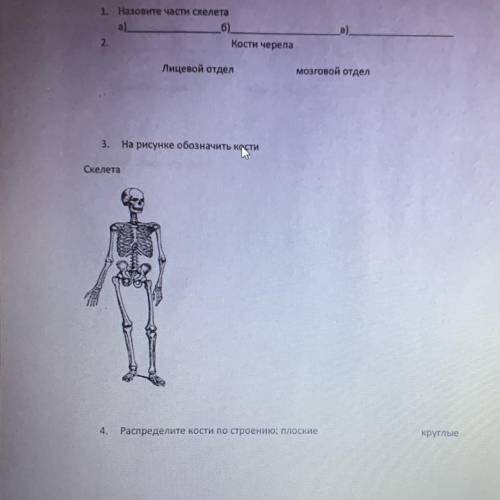 5. Назовите Функции скелета надо! Соч по естествознание добрые люди!