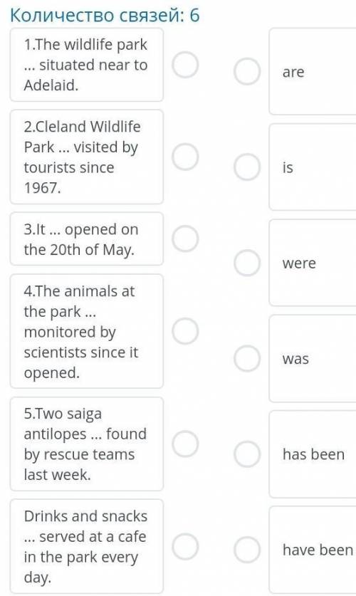 Match the verbs with the sentences​