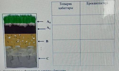 Посмотрите на картинку, определите слои почвы и запишите особенности​