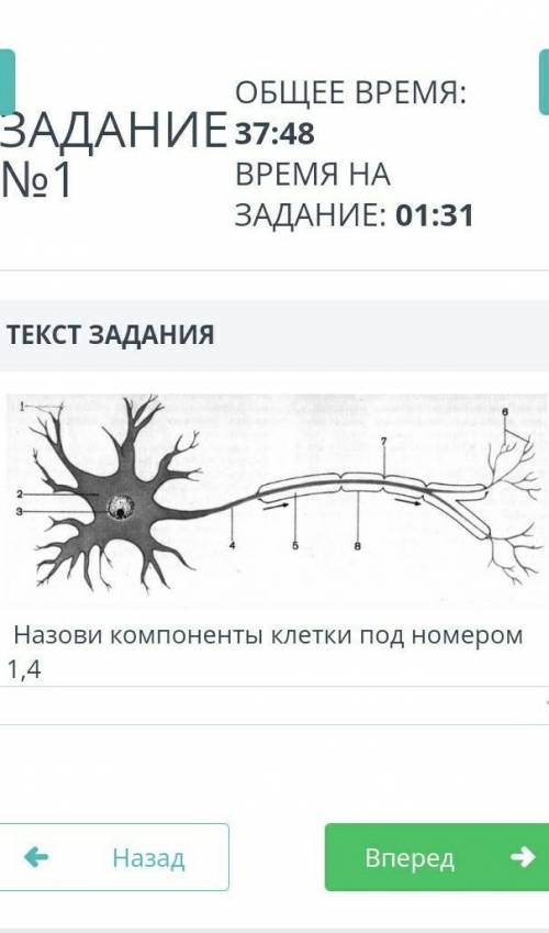 Назови компоненты клетки под номером 1,4​