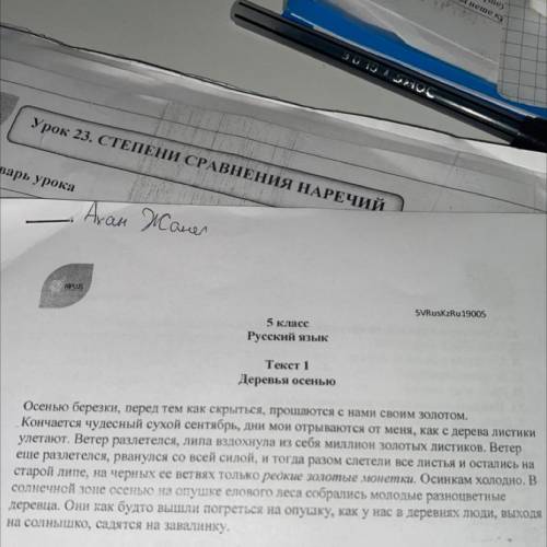 Проч Текст 1 Деревья осенью у он. Дл Осенью березки, перед тем как скрыться, прощаются с нами своим