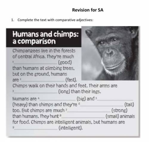 Complete the text with comparative adjectives