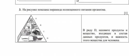 на рисунке показаны пирамида полноценного питания организма в ряду Д Назовите продукты вещества вход