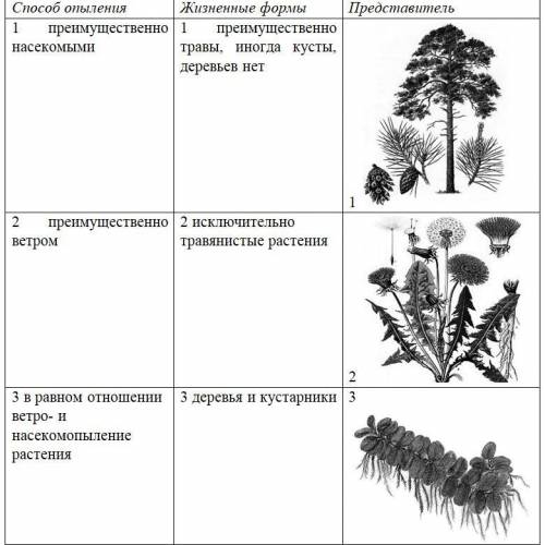 Задание содержит три колонки информации, в каждой из которых она обозначена цифрами. Выберите из каж