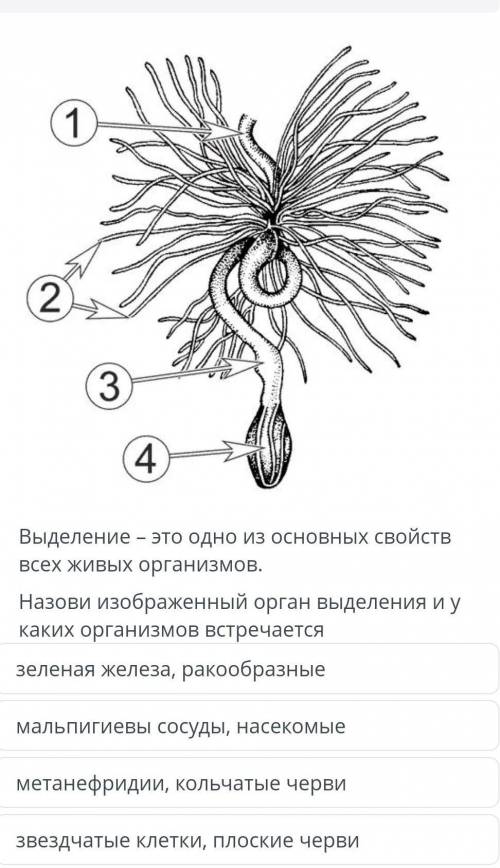 Кто ответит? таоаоатататаьаоьаьвьв ​