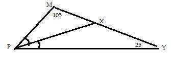 3. Биссектриса угла P треугольника MPУ пересекает сторону МУ точке Х.Угол М= 105°, угол У= 25°. www