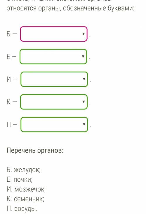 Отметь, к каким системам органов относятся органы, обозначенные буквами:   Б — .Е — .И — .К — .П — .