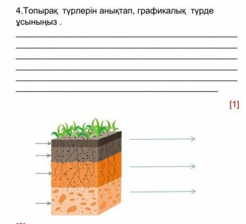 4.Топырақ түрлерін анықтап, графикалық түрде ұсыныңыз(география)​