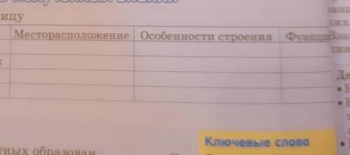 Заполните таблицу Группа тканей Месторасположение Особенности строения ФункцииЭпителиальнаяСоедините