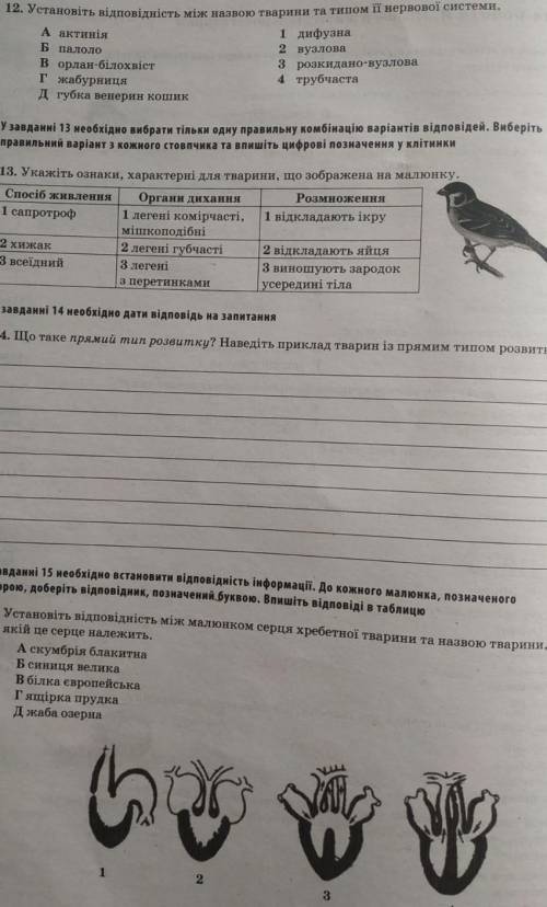 Які тута відповід скажіть ​