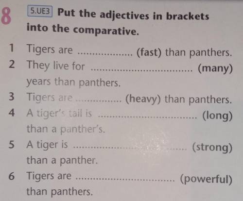 Put the adjectives in brackets onto the comparative​