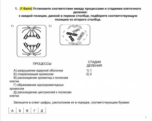 Сор по биологии 10 класс ​