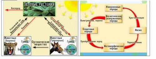 Задания 1.Географическая оболочка целостная и непрерывная оболочка Земли, где все сферы проникают др