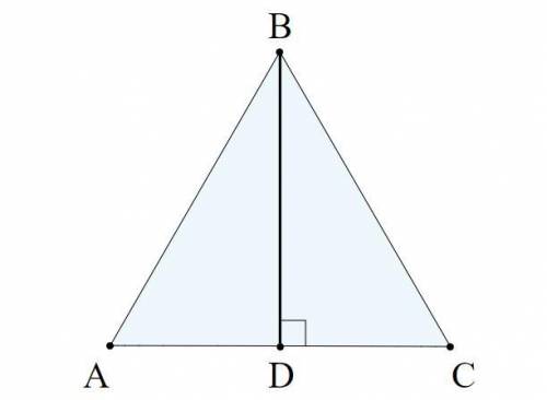 Найдите сторону равностороннего треугольника, если его высота равна BD =6 м.