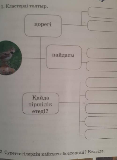 21. Кластерді толтыр.koperiпайдасыКайдатіршілікетеді?​