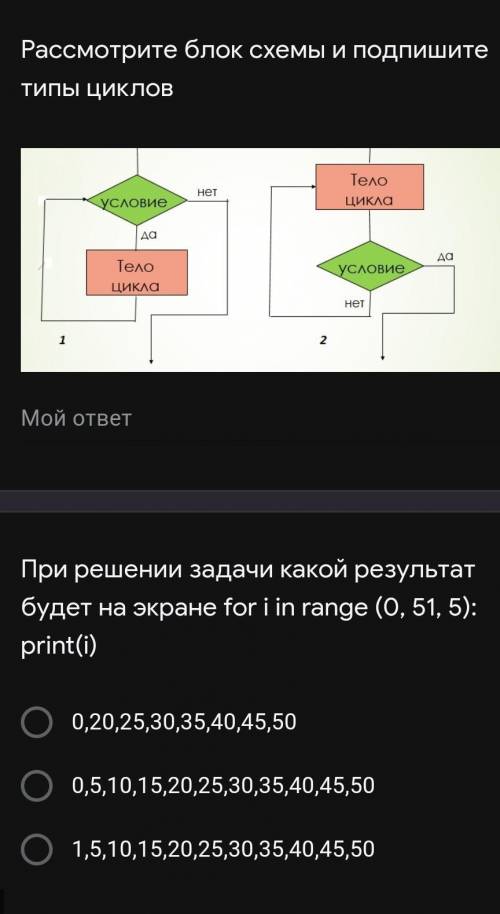 Рассмотрите блок схемы и напишите типы циклов​