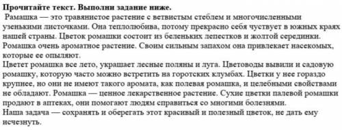 Прочитайте текст. Выполни задание ниже Задание: ⍗ 1) Выпишите предложение, которое выражает основную