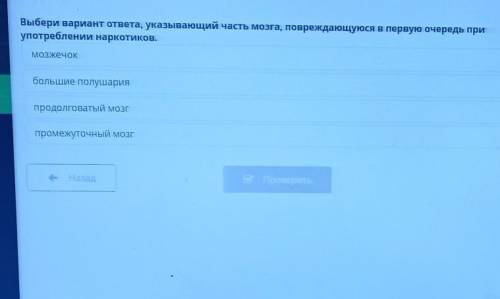 сечас надо Выбери вариант ответа, указывающий часть мозга, повреждающуюся в перупотреблении наркотик