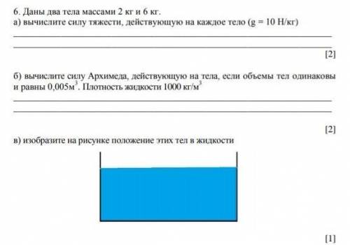 6. Даны два тела массами 2 кг и 6 кг. а) вычислите силу тяжести, действующую на каждое тело (g = 10