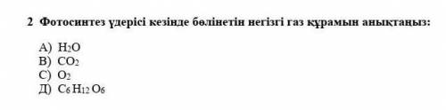 Фотосинтез удерісі кезінде бөлінетін негізгі газ құрамын анықтаңыз​