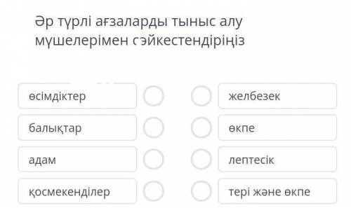 Распознавание различных организмов с органов дыхания Количество контактов: 4 растения плавники легки