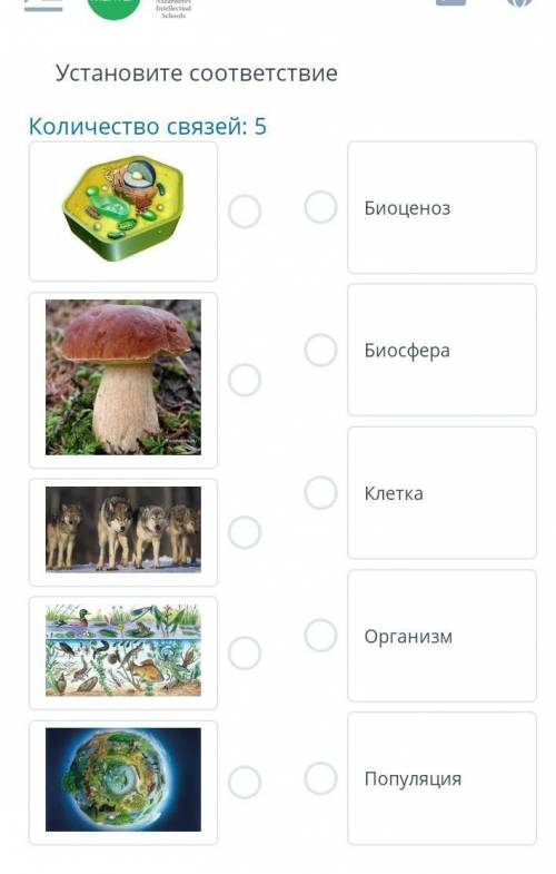 Установите соответствие Количество связей: 5 Биоценоз О Биосфера Клетка Организм Популяция​
