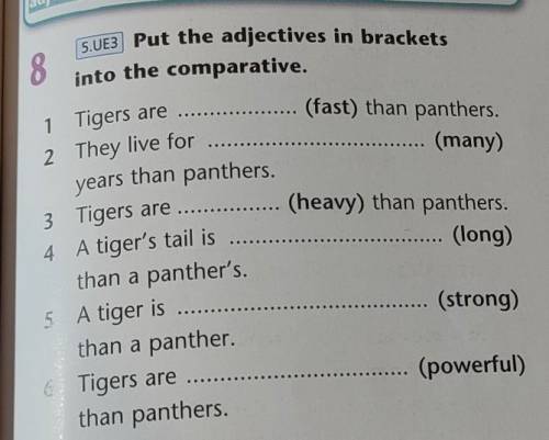 8 Put the adjectives in bracketsinto the comparative.ПОМТГИТЕ ​