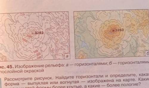 Рассмотрите рисунок. Найдите горизонтали и определите, какая форма - выпуклая или вогнутая - изображ