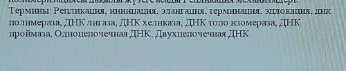 дать определения на 3 языках: английский, казахский, русский​