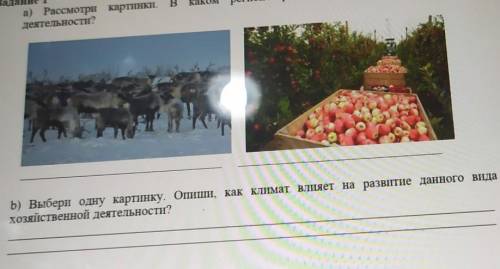 B) Выбери одну картинку. Опиши, как климат влияет на развитие данного вида хозяйственной деятельност