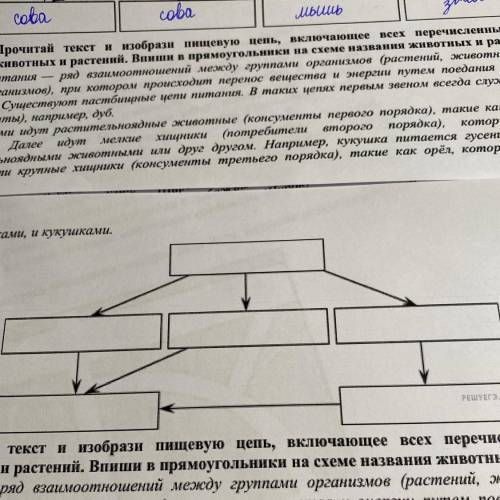 2. Прочитай текст и изобрази пищевую цепь, включающее животных и растений. Впиши в прямоугольники на