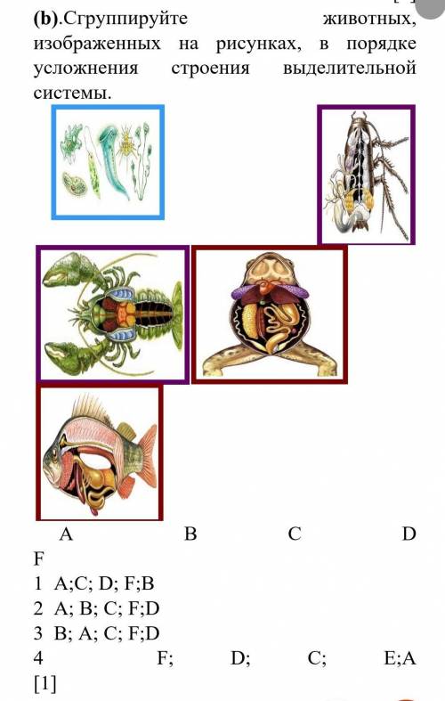 БИОЛОГИЯДЛЯ ХАЛЯВЩИКОВ БАН!Сгруппируйте животных, изображенных на рисунках, в порядке усложнения стр