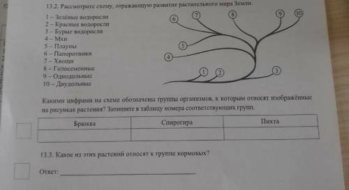 Рассмотрите схемы изображающие развитие растительного мира земли какими цифрами на схеме обозначены