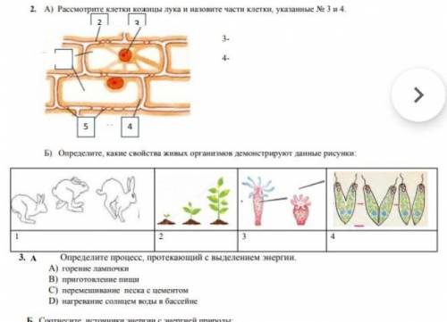 нужно сделать нужно сделать это СОР ПО ЕСТЕСТВОЗНАНИЮ ​