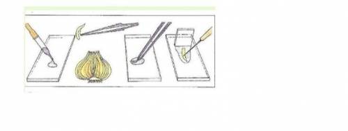2. Используя рисунок , назовите данный процесс Используя рисунок укажите какие вещества необходимыдл