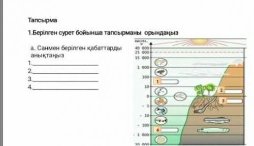 1.Берілген сурет бойынша тапсыманы орындаңыз​