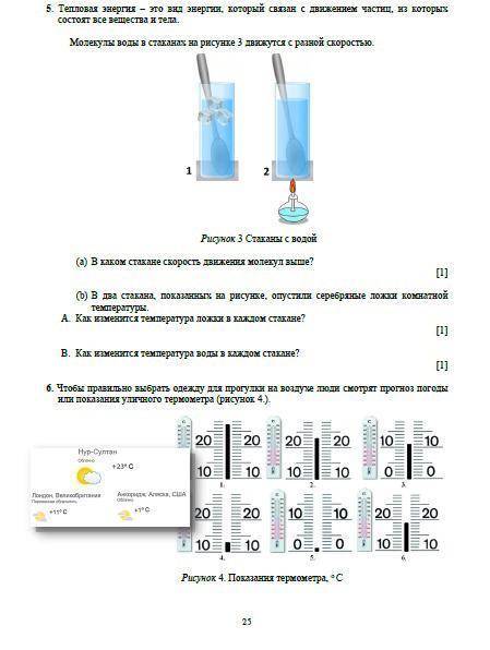 СОЧ ПО ЕСТЕСТВО 5КЛАСС