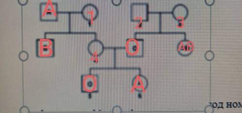 На рисунке показана диаграмма родословной наследования системы группы крови ABO. Группа крови некото
