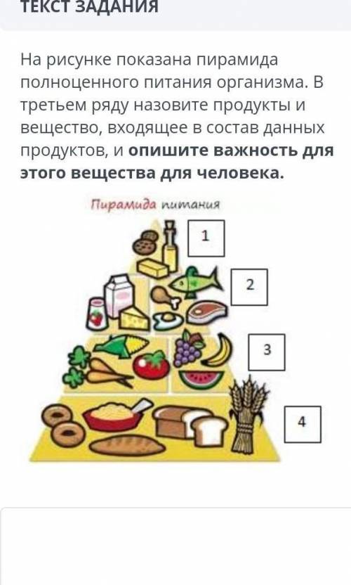 На рисунке показана пирамида полноценного питания организма. В третьем ряду назовите продукты и веще