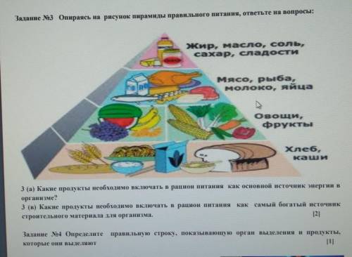 Задание №3 Опираясь на рисунок пирамиды правильного питания, ответьте на вопросы: жир, масло, соль,с