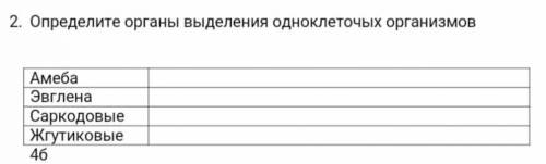 Определи органы выделения одноклеточных организмов​ биология