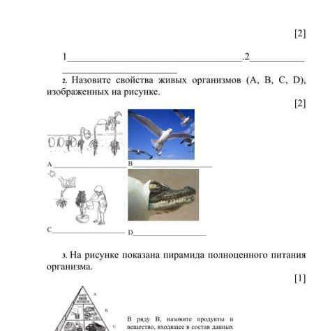 Назовите свойства живых организмов (А, В, С, D), изображенных на рисунке. [2] А В С D