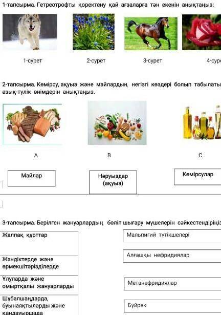 Жаратылыс тану 6 класс Соч ​